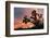 Joshua Tree at Sunset-raphoto-Framed Photographic Print