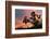 Joshua Tree at Sunset-raphoto-Framed Photographic Print