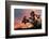 Joshua Tree at Sunset-raphoto-Framed Photographic Print