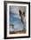 Joshua Tree I-Erin Berzel-Framed Photographic Print