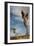 Joshua Tree I-Erin Berzel-Framed Photographic Print