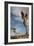 Joshua Tree I-Erin Berzel-Framed Photographic Print