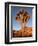 Joshua Tree in Sunlight-Kevin Schafer-Framed Premium Photographic Print