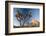 Joshua Tree National Park at Dawn, California, United States of America, North America-Ben Pipe-Framed Photographic Print