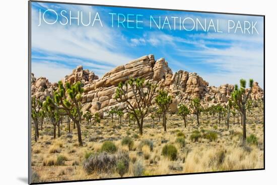 Joshua Tree National Park, California - Blue Sky and Rocks-Lantern Press-Mounted Art Print