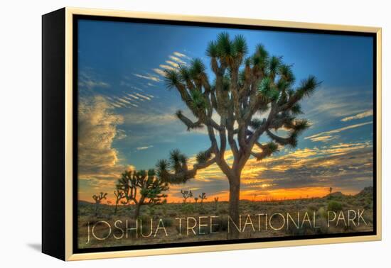 Joshua Tree National Park, California - Tree in Center-Lantern Press-Framed Stretched Canvas