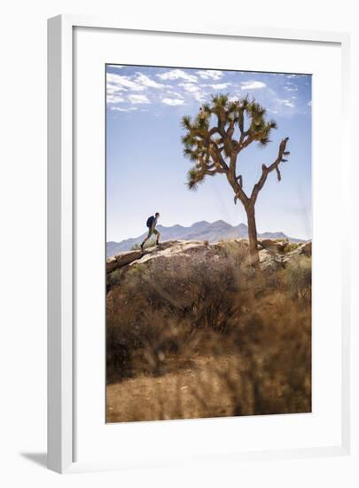 Joshua Tree National Park, California, USA: A Male Hiker Walking Along Behind A Joshua Tree-Axel Brunst-Framed Photographic Print
