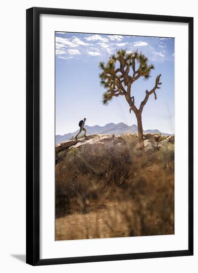 Joshua Tree National Park, California, USA: A Male Hiker Walking Along Behind A Joshua Tree-Axel Brunst-Framed Photographic Print