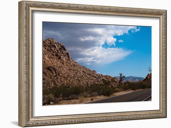 Joshua Tree National Park II-Erin Berzel-Framed Photographic Print