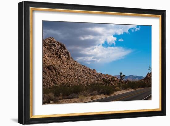 Joshua Tree National Park II-Erin Berzel-Framed Photographic Print