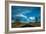 Joshua Tree National Park III-Erin Berzel-Framed Photographic Print