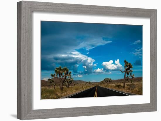 Joshua Tree National Park III-Erin Berzel-Framed Photographic Print