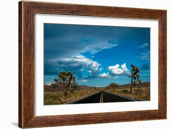 Joshua Tree National Park III-Erin Berzel-Framed Photographic Print