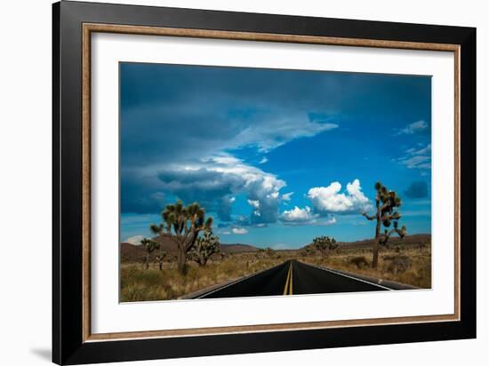 Joshua Tree National Park III-Erin Berzel-Framed Photographic Print