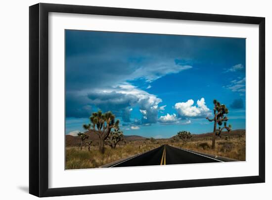 Joshua Tree National Park III-Erin Berzel-Framed Photographic Print