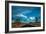 Joshua Tree National Park III-Erin Berzel-Framed Photographic Print