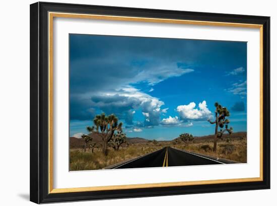 Joshua Tree National Park III-Erin Berzel-Framed Photographic Print
