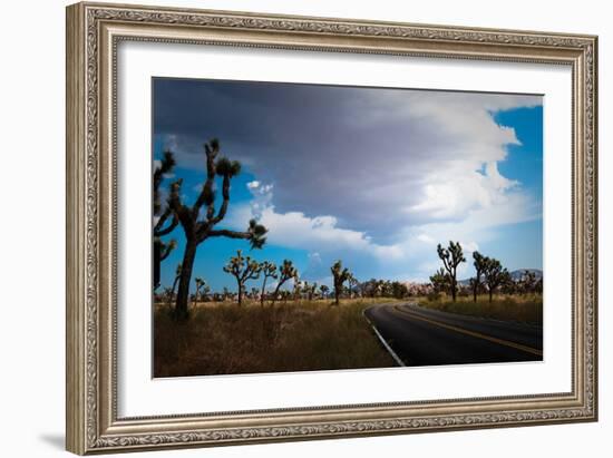 Joshua Tree National Park IV-Erin Berzel-Framed Photographic Print