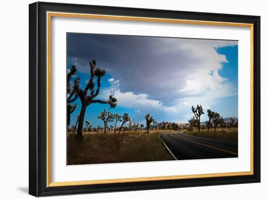 Joshua Tree National Park IV-Erin Berzel-Framed Photographic Print