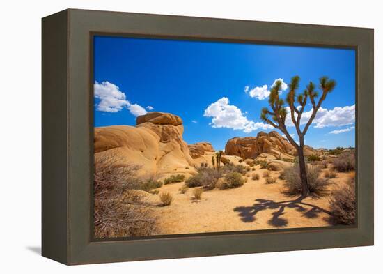 Joshua Tree National Park Jumbo Rocks in Yucca Valley Mohave Desert California USA-holbox-Framed Premier Image Canvas