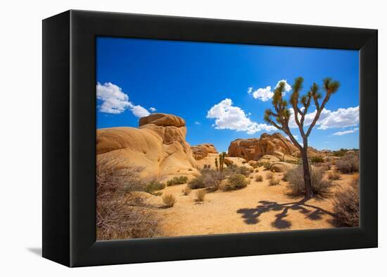 Joshua Tree National Park Jumbo Rocks in Yucca Valley Mohave Desert California USA-holbox-Framed Premier Image Canvas