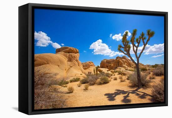 Joshua Tree National Park Jumbo Rocks in Yucca Valley Mohave Desert California USA-holbox-Framed Premier Image Canvas