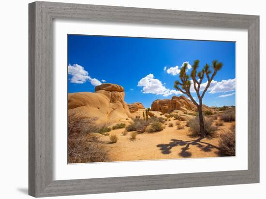 Joshua Tree National Park Jumbo Rocks in Yucca Valley Mohave Desert California USA-holbox-Framed Photographic Print