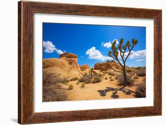 Joshua Tree National Park Jumbo Rocks in Yucca Valley Mohave Desert California USA-holbox-Framed Photographic Print