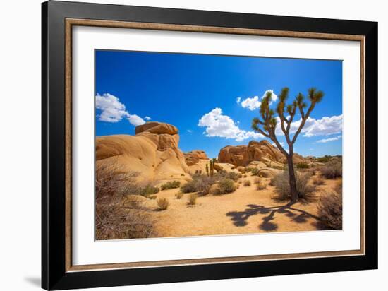 Joshua Tree National Park Jumbo Rocks in Yucca Valley Mohave Desert California USA-holbox-Framed Photographic Print