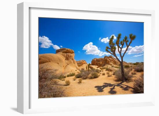 Joshua Tree National Park Jumbo Rocks in Yucca Valley Mohave Desert California USA-holbox-Framed Photographic Print