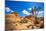 Joshua Tree National Park Jumbo Rocks in Yucca Valley Mohave Desert California USA-holbox-Mounted Photographic Print