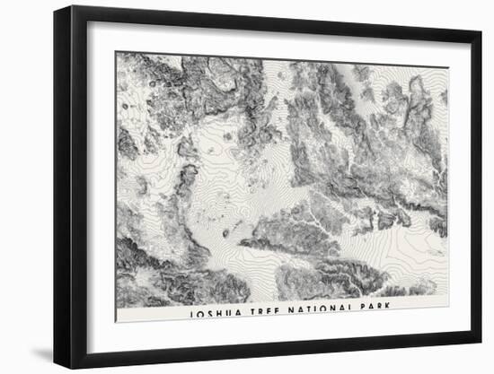 Joshua Tree National Park Topographical Print-null-Framed Art Print