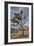 Joshua Tree National Park-Richard T. Nowitz-Framed Photographic Print