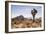 Joshua Tree NP, CA, USA: Single Joshua Tree, Desert & Mts In Bkgd, Park W Entrance-Axel Brunst-Framed Photographic Print