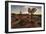 Joshua Tree NP, California, USA: The Typical Park Landscape In The Evening Light At Jumbo Rocks-Axel Brunst-Framed Photographic Print