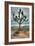 Joshua Tree Scene-Vincent James-Framed Photographic Print