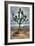 Joshua Tree Scene-Vincent James-Framed Photographic Print