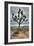 Joshua Tree Scene-Vincent James-Framed Photographic Print