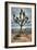 Joshua Tree Scene-Vincent James-Framed Photographic Print