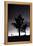 Joshua Tree Silhouettes BW-Steve Gadomski-Framed Premier Image Canvas
