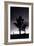 Joshua Tree Silhouettes BW-Steve Gadomski-Framed Photographic Print