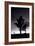 Joshua Tree Silhouettes BW-Steve Gadomski-Framed Photographic Print