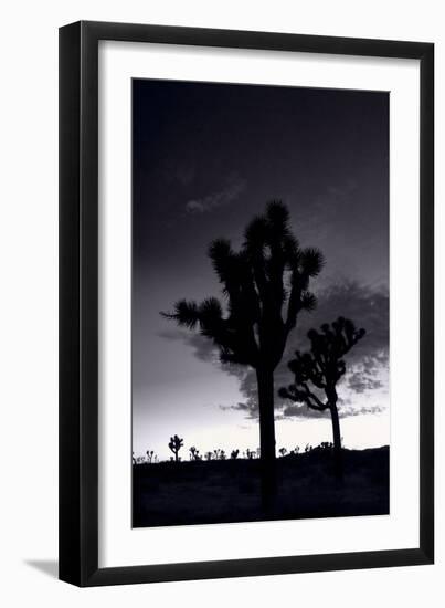 Joshua Tree Silhouettes BW-Steve Gadomski-Framed Photographic Print