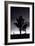 Joshua Tree Silhouettes BW-Steve Gadomski-Framed Photographic Print