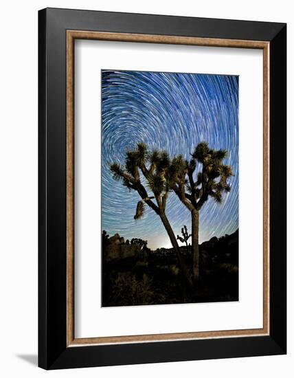 Joshua Tree Star Trails, 2017-null-Framed Photographic Print