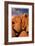 Joshua Tree Sunset I-Donald Paulson-Framed Giclee Print