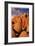 Joshua Tree Sunset I-Donald Paulson-Framed Giclee Print