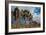 Joshua Tree V-Erin Berzel-Framed Photographic Print