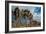 Joshua Tree V-Erin Berzel-Framed Photographic Print