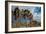 Joshua Tree V-Erin Berzel-Framed Photographic Print